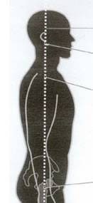 人体図イメージ